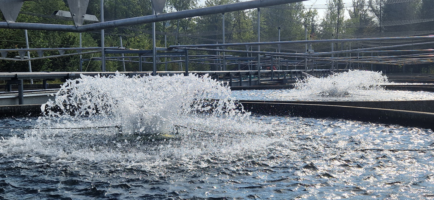 Wasserbelüfter