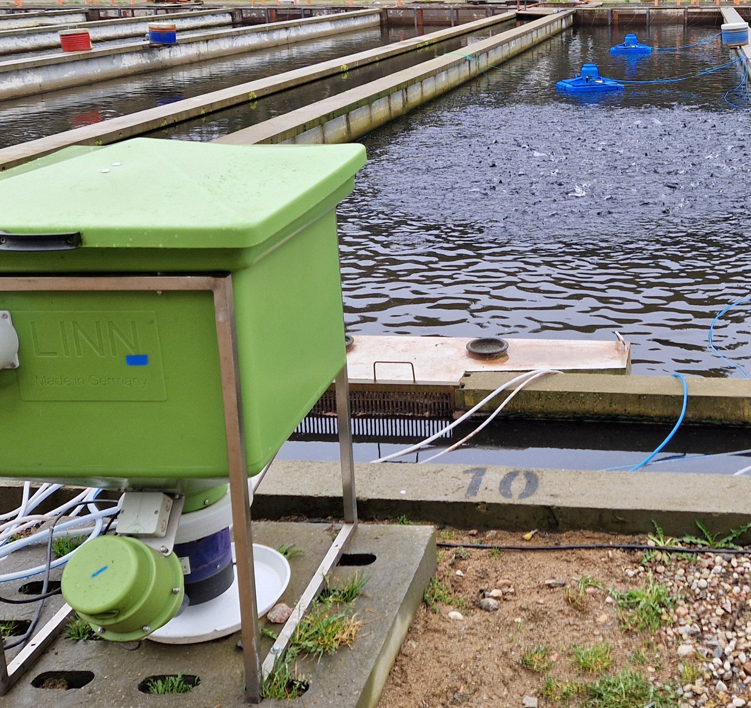 AUTOMATISIERUNG DER FÜTTERUNG FÜR EINE BESSERE FUTTERAUSNUTZUNG UND ARBEITSERSPARNIS