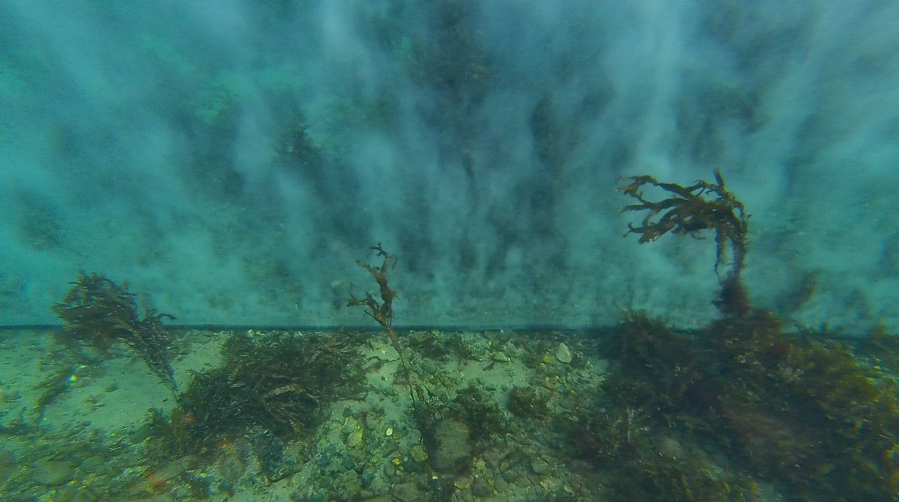 Micro Langausströmer  für die Versorgung der Fische mit Sauerstoff