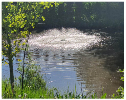 Wasserbelüfter Pond