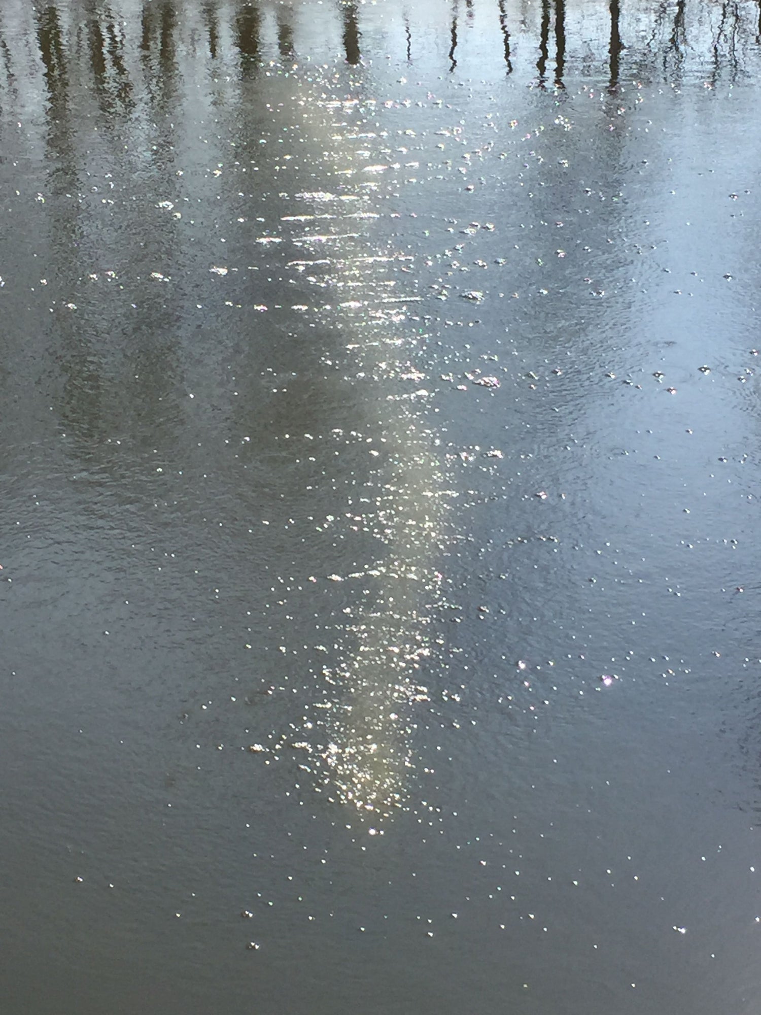 Teichsanierung durch Lufteintrag ins Wasser