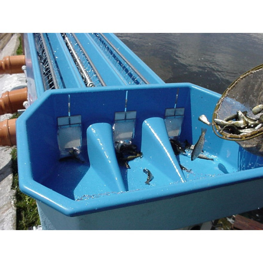 Vollautomatische Sortiermaschine AFGM 0101 - Alles-Fisch