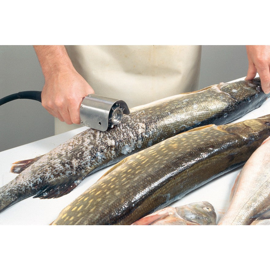 Entschuppungsgerät KT - S - Alles-Fisch