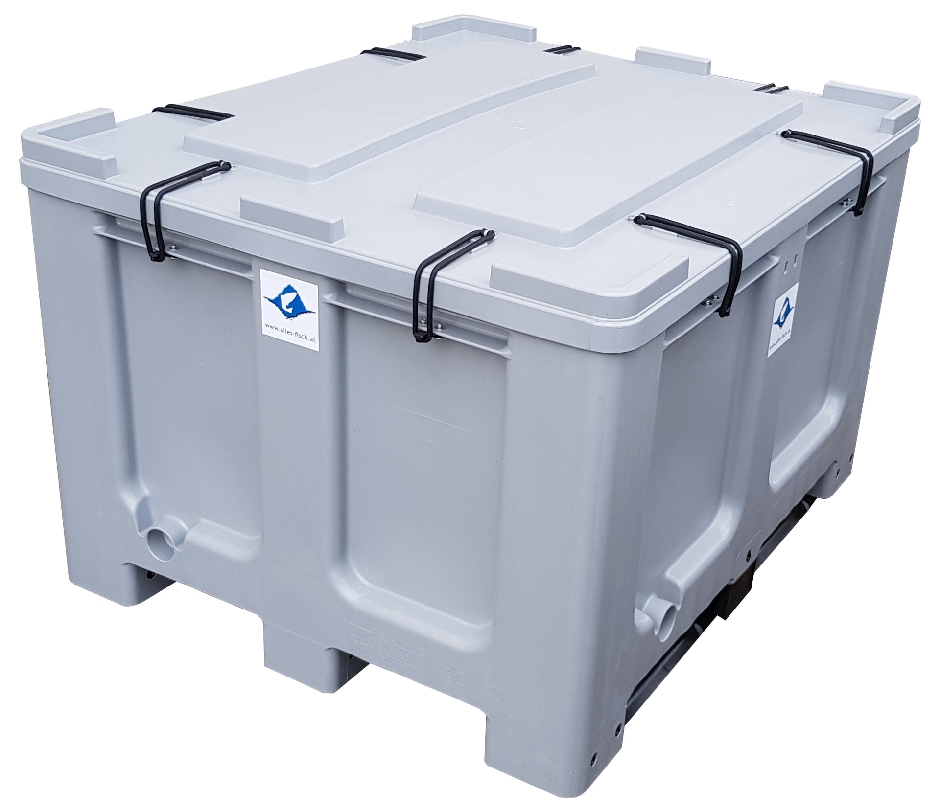 Fischbox 610 lt. grau – Alles-Fisch