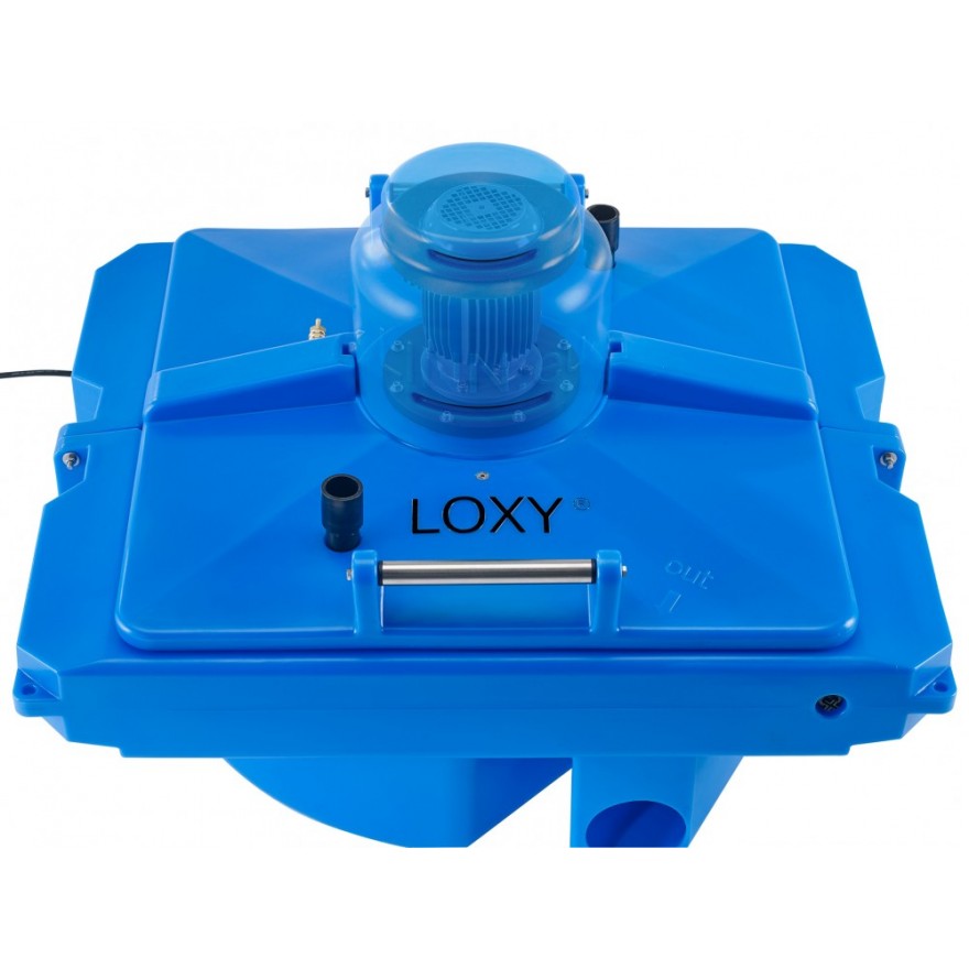 Loxy - Alles-Fisch