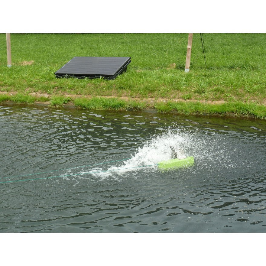 Solarinsel - Alles-Fisch