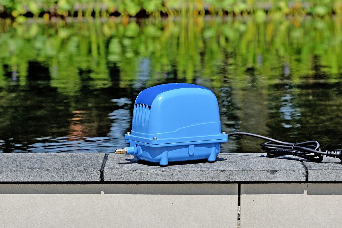 Luftpumpe AP - Alles-Fisch