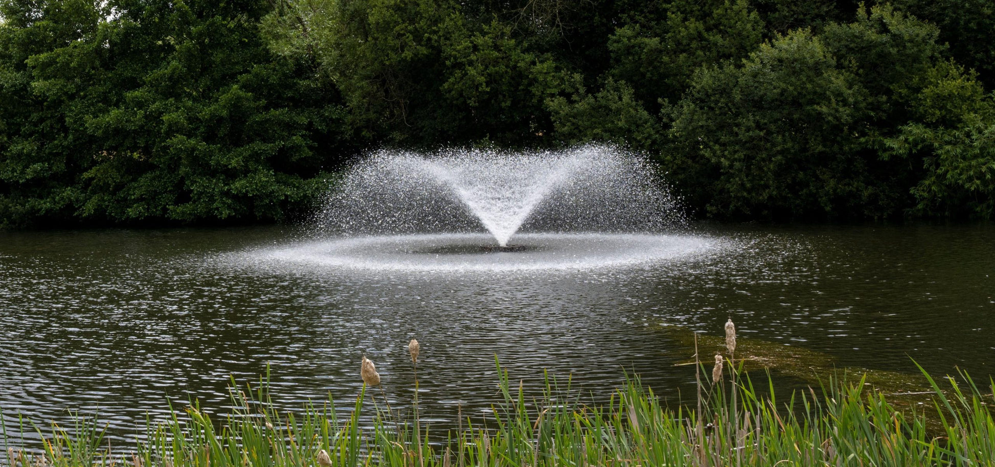 Aqua Tauchpilz mit Springbrunnenauswurf - Alles-Fisch