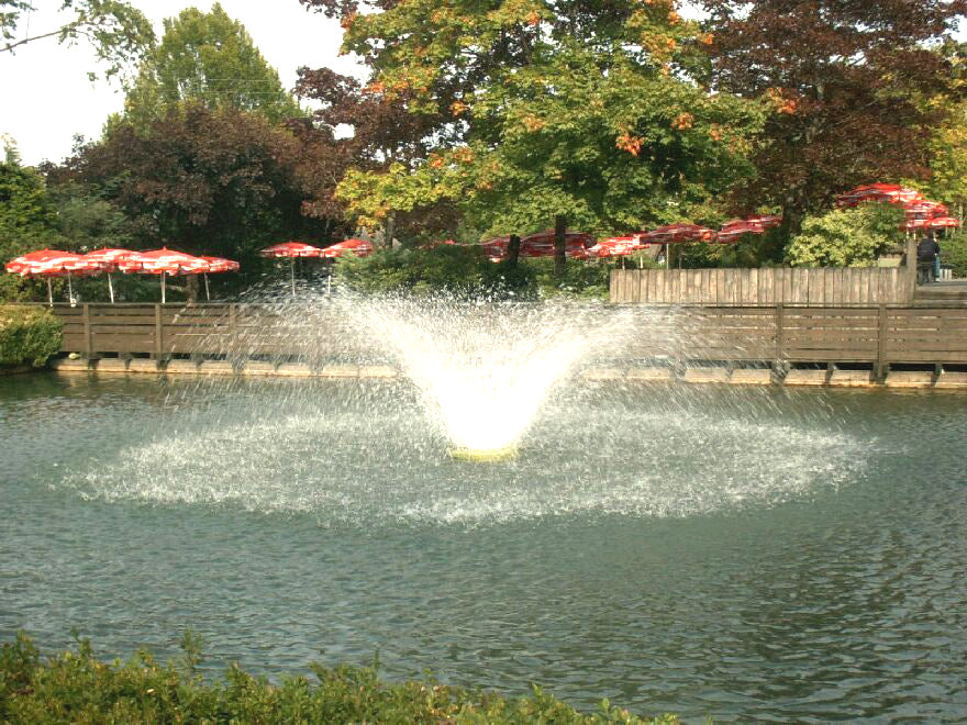 Aqua Tauchpilz mit Springbrunnenauswurf - Alles-Fisch