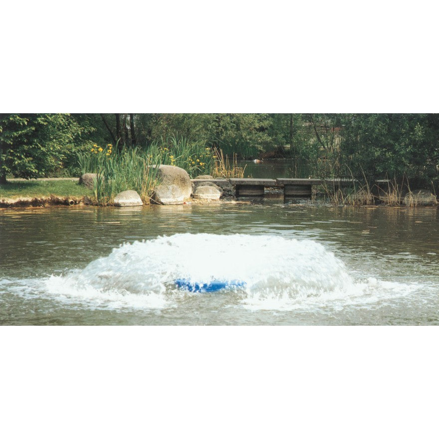 Aqua Tauchpilz - Alles-Fisch