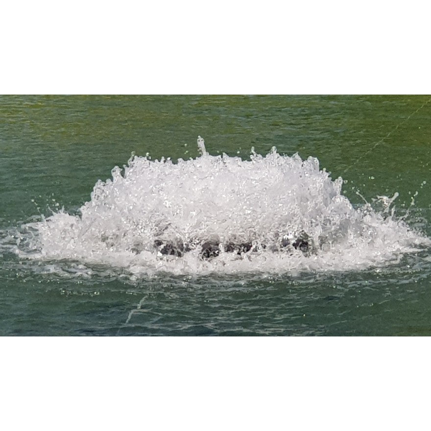 Wasserbelüfter Splash - Alles-Fisch